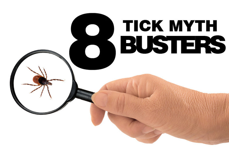 8 Tick Myth Busters