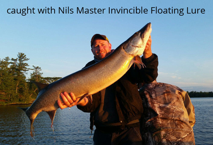 Nils Master Invincible Floating 25cm Fishing Lure Made in Finland